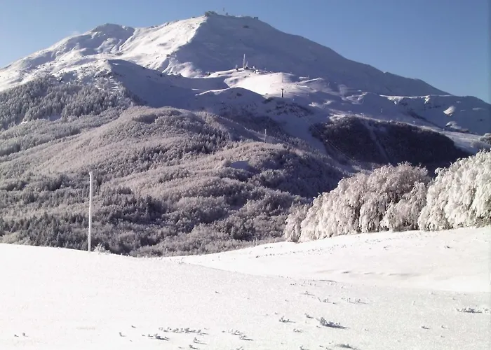 Fontanelle 塞斯托拉